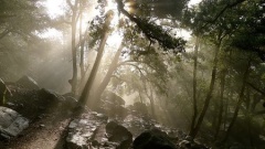 MEDITATION MEDITATION