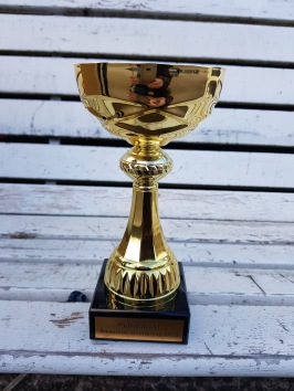 Publikfavoritens pris på Veterandagen Publikfavoritens pris på Veterandagen