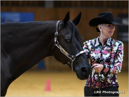 Foto AQHA UK. Supreme Champion 2017 Make Me Invited owned and shown by Jane Wallace Foto AQHA UK. Supreme Champion 2017 Make Me Invited owned and shown by Jane Wallace