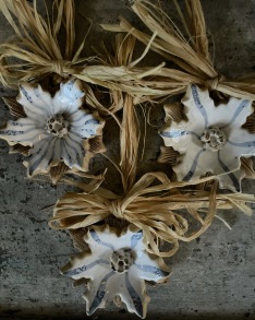 Blomma blågrå rand - 