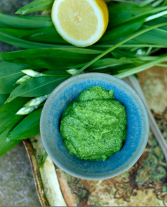 Här på hemsidan kan du hitta flera tips och recept på vad du kan göra med dina nyplockade blad. Foto: Olof Abrahamsson Här på hemsidan kan du hitta flera tips och recept på vad du kan göra med dina nyplockade blad. Foto: Olof Abrahamsson