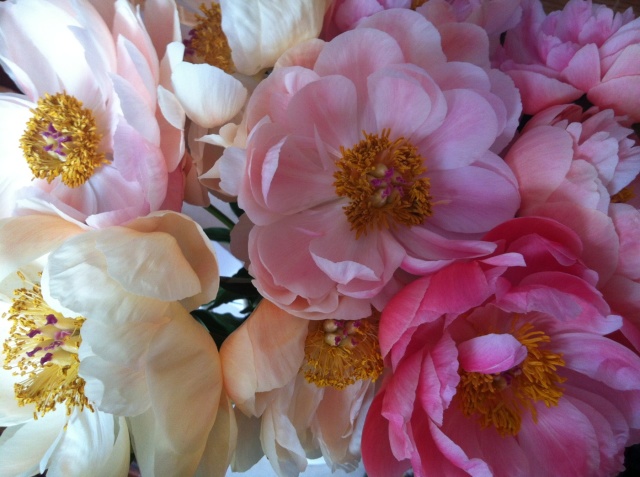 Blomsterbinderi I Svenska Mästerskapen, blomsterarrangemanget är gjort av frilanasande floristen och blomsterdekoratören Marinette Månsson i Varberg, Halland. Blomsterbinderi I Svenska Mästerskapen, blomsterarrangemanget är gjort av frilanasande floristen och blomsterdekoratören Marinette Månsson i Varberg, Halland.