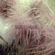 Smutsigt lila fjädrar