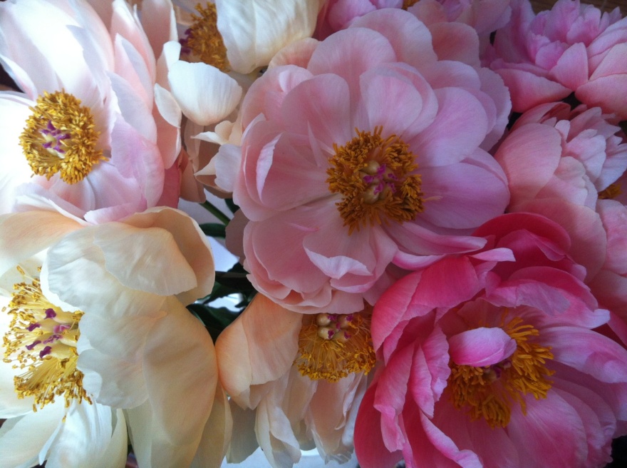 Blomsterbinderi I Svenska Mästerskapen, blomsterarrangemanget är gjort av frilanasande floristen och blomsterdekoratören Marinette Månsson i Varberg, Halland. Blomsterbinderi I Svenska Mästerskapen, blomsterarrangemanget är gjort av frilanasande floristen och blomsterdekoratören Marinette Månsson i Varberg, Halland.