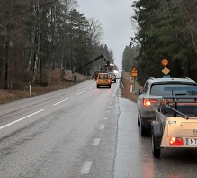 200114 Träd över 55an 200114 Träd över 55an