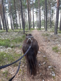 Även Lena fick ett joggingpass idag :)