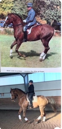 Det dök upp en bild på Hans Wikne  ( fd tränare till mig, Chef på Strömsholm mm ) där han rider Gaspari. Kolla vilken nästan exakt pose på hästarna :). Å Rosse e finast !!