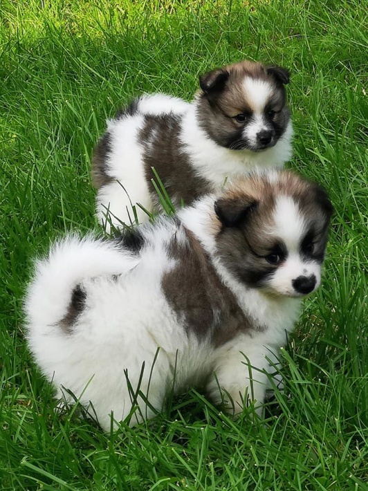 Kira och Stella Kira och Stella
