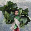 Gurung Boy, Nepal
