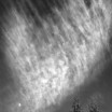 Clouds, Trees and Moon