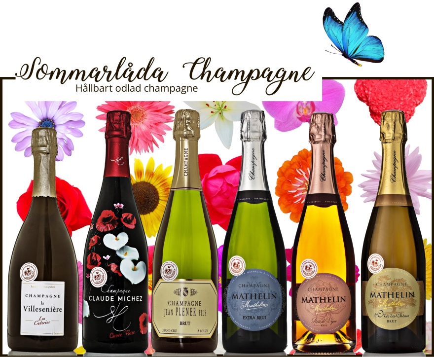 Sommarlåda Champagne. Sommarlåda Champagne.