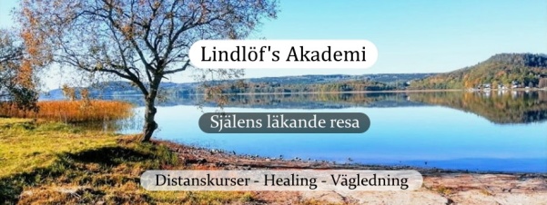 Lindlöf's Akademi har healingkurser på distans. Vi lär ut flertalet healingmetoder.  Vi erbjuder vägledning i telefon