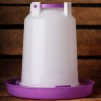 Vattenautomat för kyckling 1,5 l - Vattenautomat Quailzz® 1,5 l purple