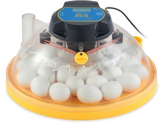 Äggkläckningsmaskin Brinsea Maxi II Eco - 