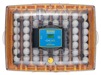 Äggkläckningsmaskin Brinsea Ovation 56 EX med fuktkontroll