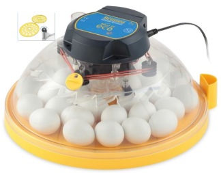 Äggkläckningsmaskin Brinsea Maxi II Eco semiautomatisk - 