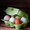 Äggkartonger för vaktel 6 ägg - Green