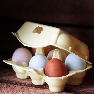 Äggkartonger för vaktel 6 ägg - Pina Colada