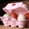 Äggkartonger för vaktel 6 ägg - Strawberry