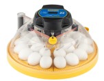 Äggkläckningsmaskin Brinsea Maxi 24 Advance