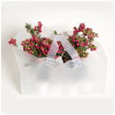 Plantkasse/take away/bageri transparent 250st/kartong