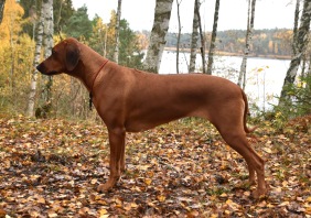 2 år och 7 månader