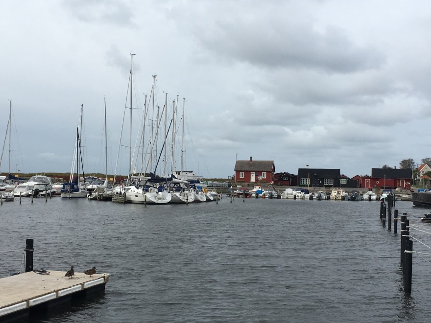 LIte blåsigt och grått, men annars lugnt och fridfullt i hamnen; från den 1 oktober. LIte blåsigt och grått, men annars lugnt och fridfullt i hamnen; från den 1 oktober.