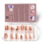 .Gelish - Neutral Soft Gel Tips - Pink Nude Short Round