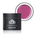 -Lcn- COLOUR GEL - PINK PASSION