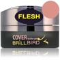 BB Cover Pink Flesh 15ml