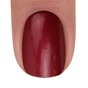 BB Brush&Go Colorgel #Go45