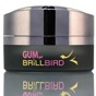 BB Gum Gel 50ml