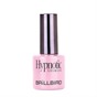 BrillBird- Hypnotic GL #H49 8ml