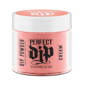 Perfect Dip- Break The Mold 23g