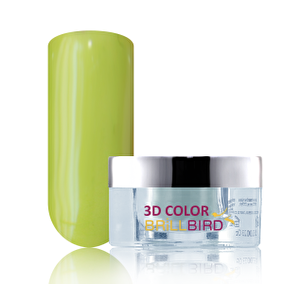 BB 3D Paint P4