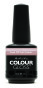 Artistic Colour Gloss -In Bloom 15ml