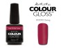 Artistic Colour Gloss -Daring 15ml