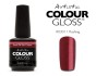 Artistic Colour Gloss -Flashing 15ml