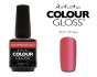 Artistic Colour Gloss -Flair 15ml