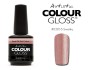 Artistic Colour Gloss -Swanky 15ml