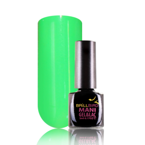 BB Frosty ManiGel&Lac 15ml #F11