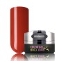 BB Brush&Go ColorGel #Go79