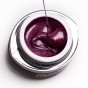 BB Brush&Go Colorgel #Go47