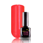 BB Frosty ManiGel&Lac 15ml #F6