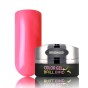 BB Brush&Go ColorGel #Go55