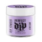Perfect Dip- Rhythm 23g
