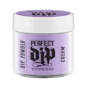 Perfect Dip- Rhythm 23g