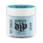 Perfect Dip- Chill 23g
