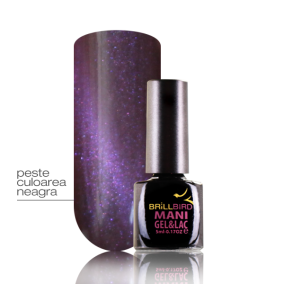 BB Cateye Violet