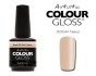 Artistic Colour Gloss -Naked 15ml